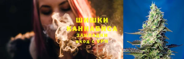 крисы Гусев