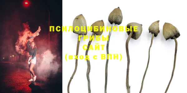 скорость Алзамай