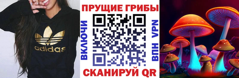Галлюциногенные грибы мухоморы  Полярные Зори 